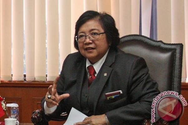 Menteri Lingkungan Hidup dan Kehutanan Siti Nurbaya Bakar terus menyerukan pentingnya pembatasan terhadap penggunaan plastik kemasan.