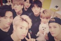 Kucing JB Gantikan Kehadiran Youngjae di Asrama Got7