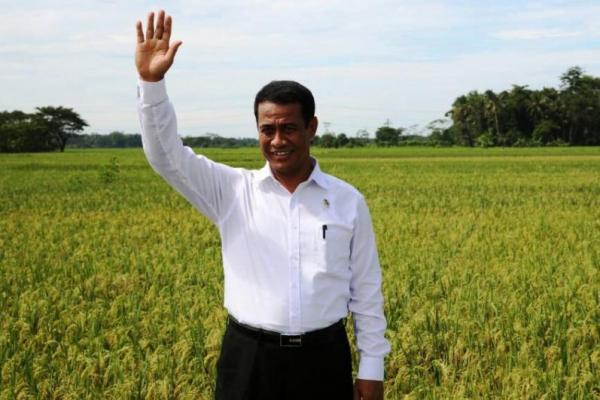 Menteri Amran Sulaiman mengatakan, jika Indonesia tidak mau mengimpor beras, maka petani harus menanam satu juta benih per hektare tiap bulannya.