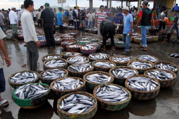 Musim yang tidak kondusif ditambah mayoritas alat tangkap yang masih sangat tradisional menjadikan produksi tangkapan ikan belum terdongkrak naik.