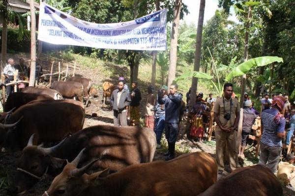 Setiap kelompok, dibekali modal sebesar 50.000 euro atau Rp742.700.000.