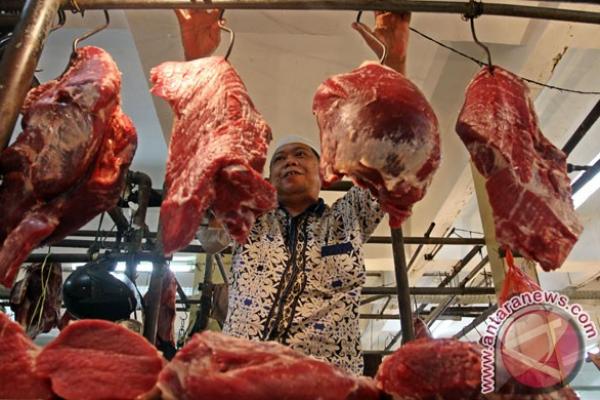 Implikasinya adalah 50 persen pemenuhan daging sapi atau setara 250 ribu ton harus diimpor.