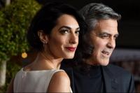 Pasangan Selebriti, George dan Clooney Kedatangan Keluarga Baru 