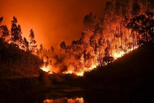 Jurang, lereng bukit dan daerah pemukiman di daerah berpenduduk padat menjadi santapan api