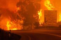 Kebakaran Hutan di  Portugal, Korban Bertambah 62 Jiwa