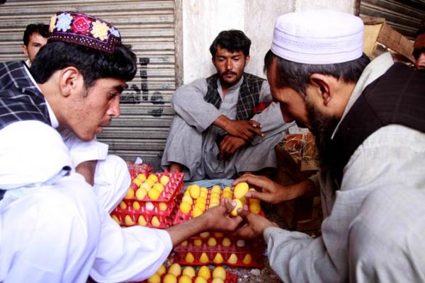 Afghanistan terkenal dengan tradisi tanding telur yang biasa disebut Tokhm-Jangi Dalam tradisi ini warga dari berbagai kalangan usia berkumpul di taman dan mencoba untuk memecahkan telur .