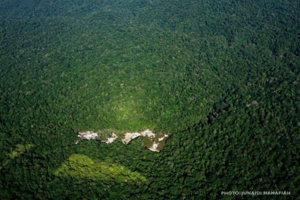 Pada tahun 2011, kawasan tersebut termasuk dalam daftar `Warisan Dunia dalam Bahaya` dikarenakan aktivitas pembalakan liar, perburuan, perluasan kelapa sawit.