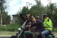 Edan, Pria Ini Ajak Beruang Naik Motor Bikin Jalanan Heboh
