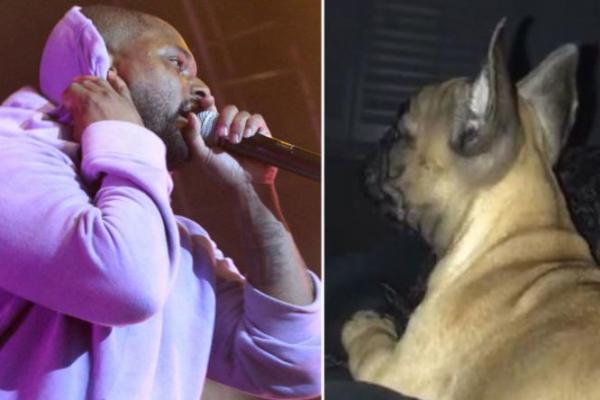 Rapper tersebut rencananya ingin membawa bulldog Prancis barunya dari Missouri ke Burbank, California, namun anjing itu sengaja diturunkan saat berhenti di Denver.