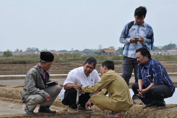 Kali ini Ang Ling memusatkan pada sentra petani garam setelah sehari yang lalu Bacabup tersebut mengunjungi pande besi dan pengrajin tape di kota yang sama