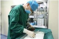 Makan Tidak Teratur, Dokter di China Keluarkan  200 Batu Empedu Pasien 