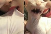 Gigit Kucing Saat Live Instagram,  Netizen Khawatir Mental Sulli