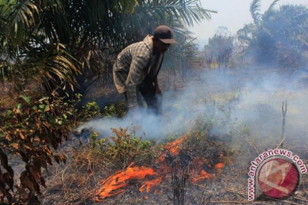 Kabut asap akibat kebakaran hutan di Kalimantan dan Sumatera, berdampak pada kawasan pemerintahan Malaysia, Putrajaya.