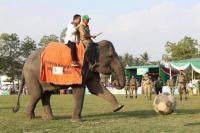 Tendangan Gajah Tandai Kick Off LSN Region Sumatera