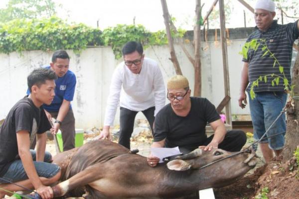 Komedian sekaligus politikus, Eko Patrio pada idul adha kali ini berkurban dua ekor sapi dan tiga ekor kambing di kantor Komando Cipinang Indah 1 Kalimalang Jakarta Timur pada Jum`at