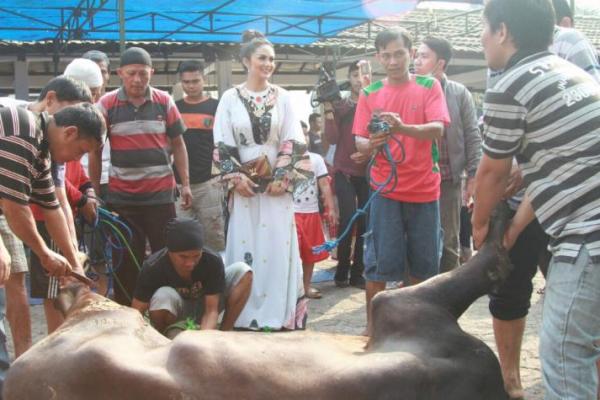 Masih dalam suasana Idul Adha penyanyi Diva Indonesia Krisdayanti dengan didampingi oleh kedua putra putri dari hasil pernikahannya dengan Raul Lemos menyaksikan prosesi penyembelihan satu ekor sapi.