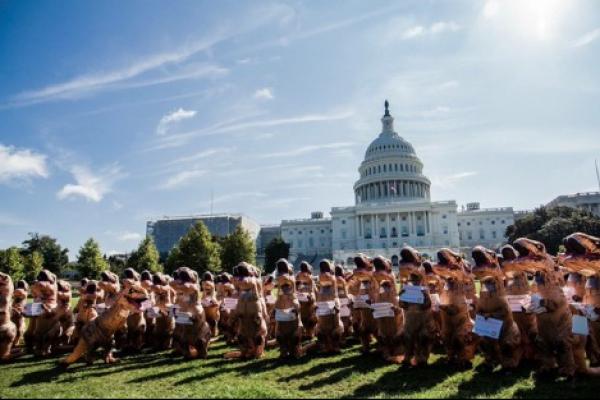 Ratusan orang berkostum dinosaurus turun ke jalan-jalan di Washington D.C. untuk memprotes pemotongan anggaran