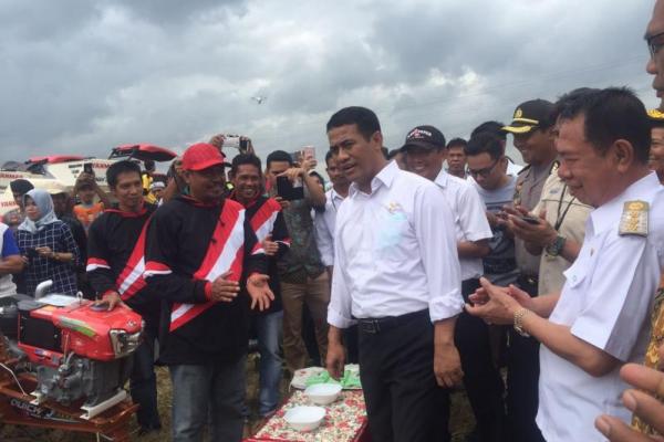 Menteri Pertanian Andi Amran Sulaiman bersama Bupati Wajo, Andi Burhanuddin melakukan panen raya padi di Desa Wele, Kecamatan Belawa, Kabupaten Wajo