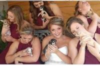 Wanita Ini Gunakan Anak Anjing Sebagai Pengganti Karangan Bunga