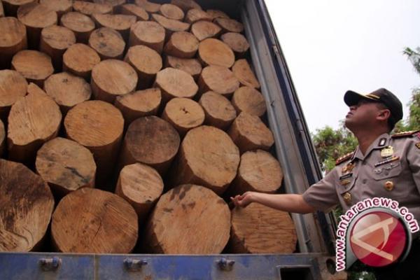 Pencurian dan penebangan kayu di daerah TNGL tersebut, harus dicegah oleh pemerintah karena dapat membahayakan terjadi bahaya banjir.