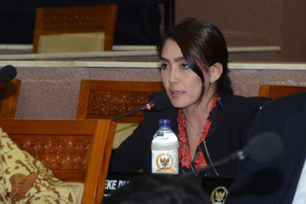 Anggota Legislatif Rieke Diah Pitaloka mengusulkan pembentukan Satuan Tugas (Satgas) Penanganan Perdagangan Manusia, yang di dalamnya ada unsur dari pemerintah dan DPR RI.