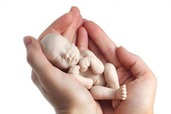 Lembaga Pelopor Keluarga Berencana (KB) Indonesia menyebut 87 persen perempuan yang sudah menikah dan memiliki anak memilih melakukan aborsi