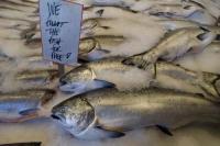 Konsumsi Ikan Bikin Anak Tambah Cerdas