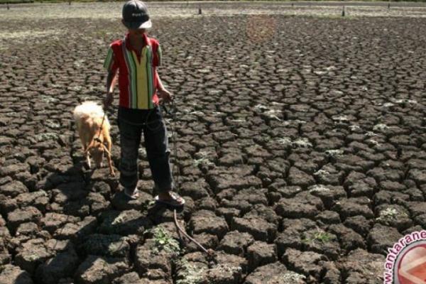 Sebanyak 124 desa dari sekitar 575 desa di provinsi itu terindikasi rentan rawan pangan akibat bertambahnya jumlah penduduk.