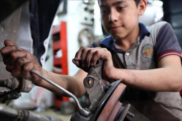 Menurut hasil survey terbaru, sebanyak 4,9 persen penduduk Irak ialah pekerja anak.