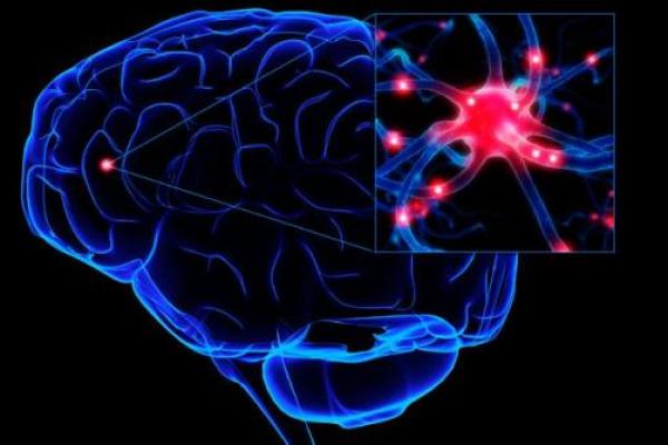 Jaringan otak yang rusak akibat stroke bisa mencair menjadi toksik dan kemudian membahayakan bagian otak yang sehat.