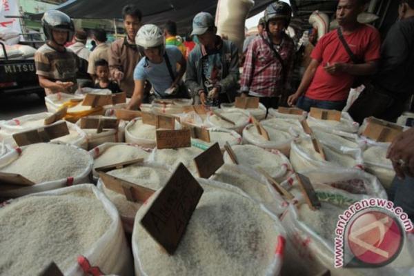 Meski dengan alasan beras khusus, alasan penting apa yang mendesak pemerintah harus melakukan impor beras?