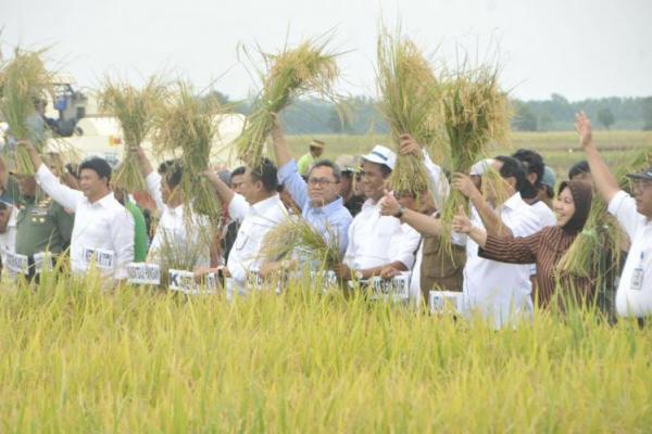 Menurut Zulhasan, yang harus dilakukan justru memuliakan dan menyejahterakan petani dengan membeli dan konsumsi beras dalam negeri.