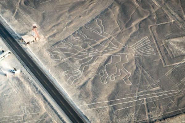 Seorang sopir truk di Peru harus berurusan dengan penegak hukum gegara merusak sebuah situs purbakal berusia 2.000 tahun.