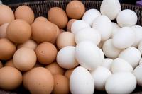 Panjang Umur Berkat Rutin Makan Telur