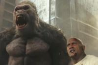 Dwayne "The Rock" Bakal Akting Bareng Gorila