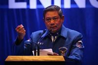 Demokrat: SBY Dibawain Kerbau Santai Saja