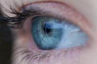 Lewat Retina Mata, Google Mampu Prediksi Penyakit Jantung
