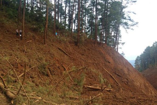 Bencana longsor terjadi di Selalejo Timur, Kecamatan Maponggo, Kabupaten Nagekeo, Nusa Tenggara Timur (NTT), pada Senin (12/11) pagi.