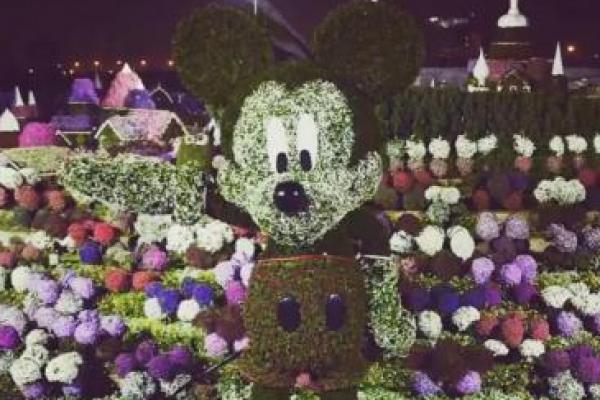Guinness World Records mengumumkan patung Mickey Mouse topiary di Dubai Miracle Garden adalah pemegang rekor baru untuk patung topiary tertinggi di dunia