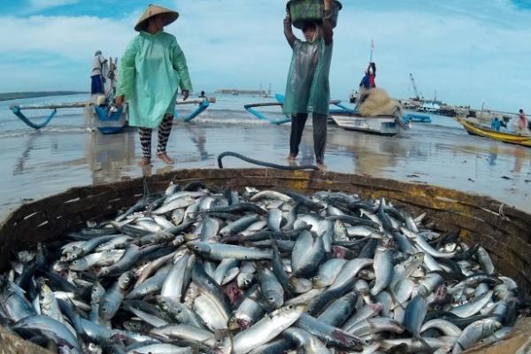 Kebijakan PIT Picu Lesunya Industri Perikanan Sulut