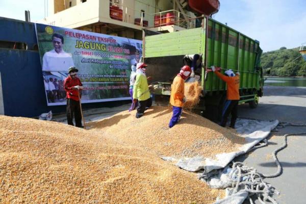 Selain Filipina,  Malaysia juga memiliki pangsa pasar potensial untuk ekspor jagung, yaitu 1 juta ton jagung kebutuhan di Filipina dan 3 juta ton di Malaysia dalam setahun.