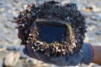 Dua Tahun Hilang di Laut, Kamera Ini Ditemukan Selamat