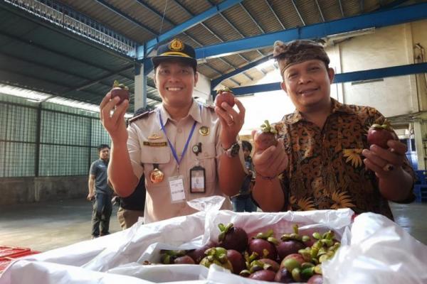 Bali mampu menyumbang volume ekspor manggis yang tinggi. Pemerintah menargetkan 20 ribu ton manggis ke China secara langsung.