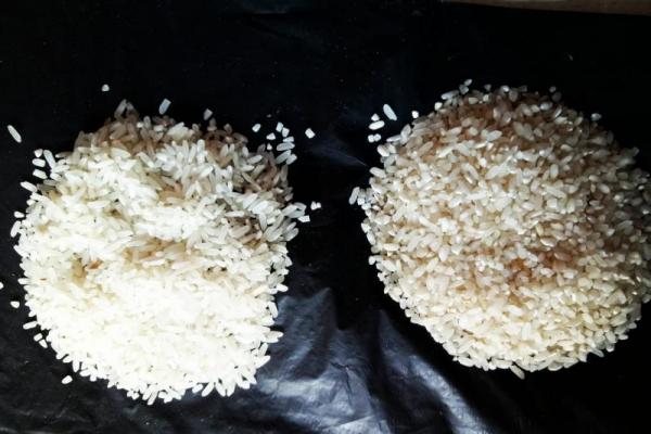Beras ramping juga bisa masuk kualitas premium dengan harga Rp9.000 per kg, sedangkan beras bulat hanya bisa masuk kualitas medium dengan harga Rp8.030 per kg