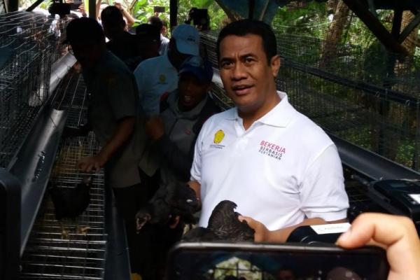 Demi menekan angka kemiskinan di Indonesia, Kementerian Pertanian (Kementan) menyiapkan 10 juta ekor ayam