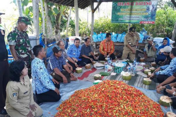 Berdasarkan hasil monitoring, Direktur Perlindungan Hortikultura Sri Wijayanti Yusuf mengatakan luas lahan cabai rawit merah yang siap panen saat ini di Kabupaten Blitar mencapai 6.950 hektare atau 43 persen.