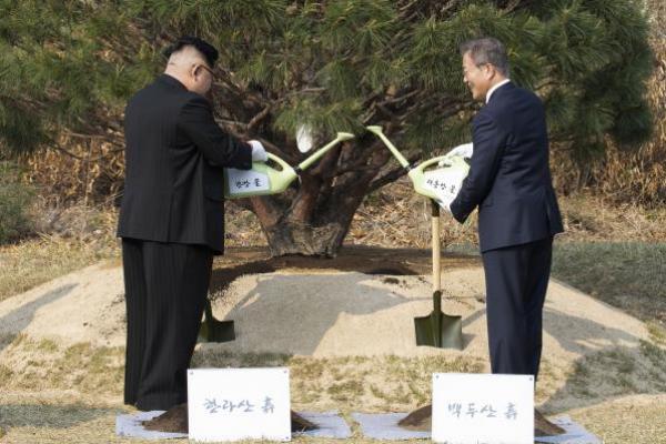 Cheong Wa Dae mengatakan bahwa penanaman pohon disarankan oleh Presiden Korsel dan Kim menerima semua permintaannya, seperti spesies pohon dan kata-kata di atas plakat.