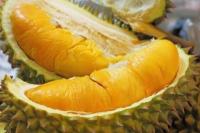 Petani Ambil Untung Disparitas Harga Durian Sumbar-Jakarta