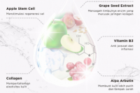Keajaiban Apple Stem Cell Diyakini Bikin Awet Muda
