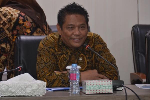 Anggota Komisi VII DPR RI Dardiansyah menegaskan bahwa semua potensi pertambangan yang ada di Provinsi Kepulauan Bangka Belitung (Babel) harus dikelola dengan sistem yang baik dan sesuai prosedur peraturan perundang-undangan yang berlaku.
